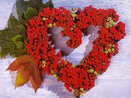 Click here for the next photogallery.